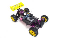 HSP 1/10 GP 4WD Off Road Buggy (WaterProof)