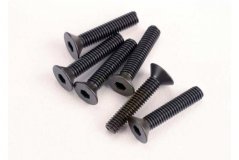 Screws, 3x15mm countersunk machine (6) (hex drive)