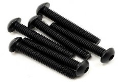 Screws, 4x25mm button-head machine (hex drive) (6)