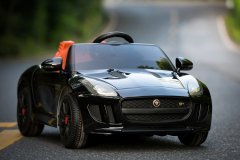 DMD Радиоуправляемый электромобиль Jaguar RS-3 (Black)